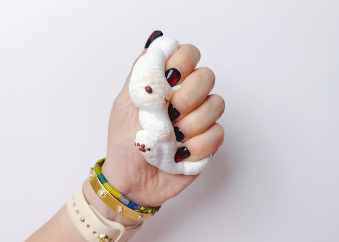 SHY BUNNY PAW Squishy