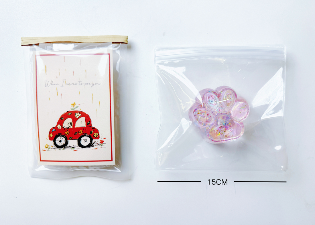 Transparent Replacement Pouch