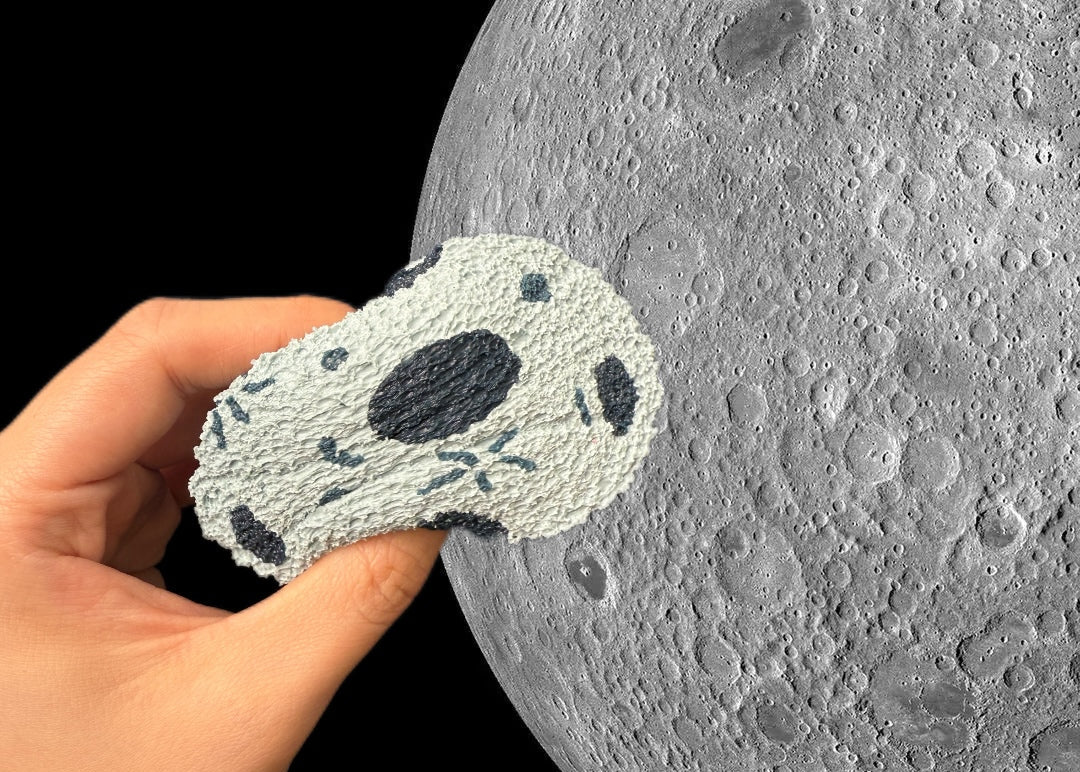 moon squishy
