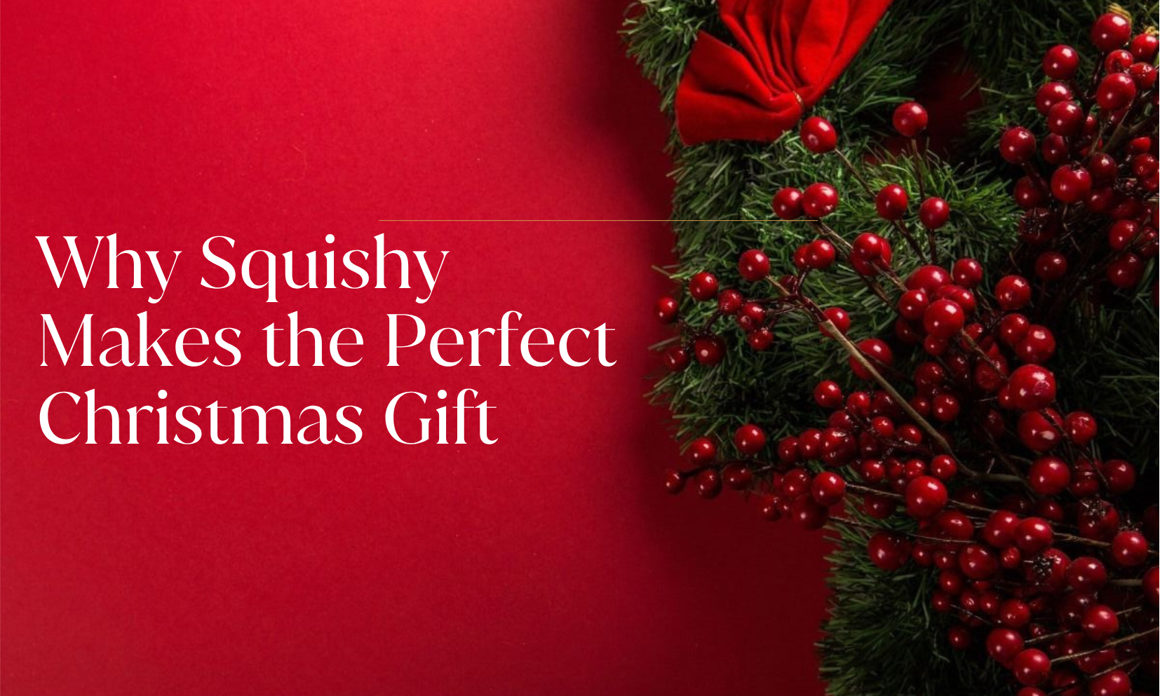 Why Squishy Makes the Perfect Christmas Gift 🎁