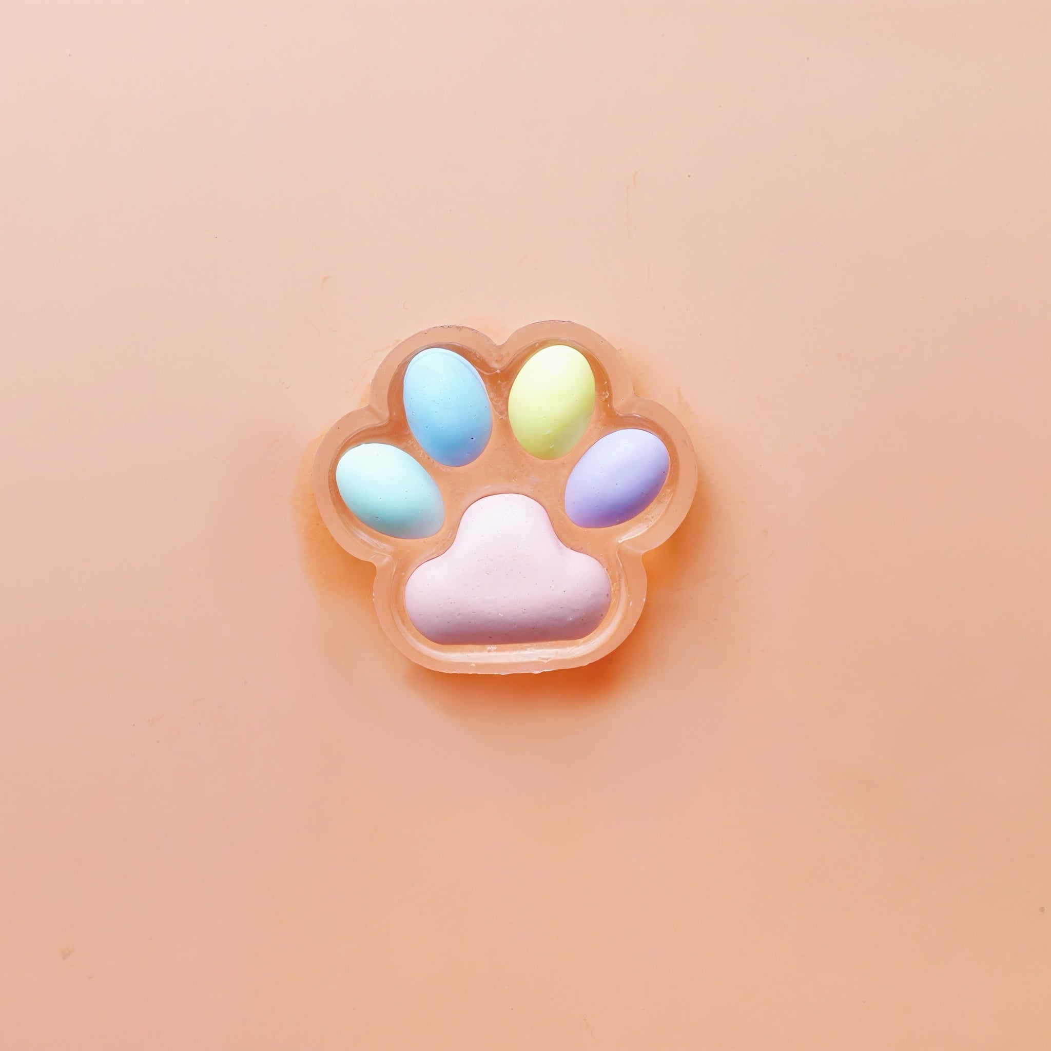 RAINBOW PAW Squishy